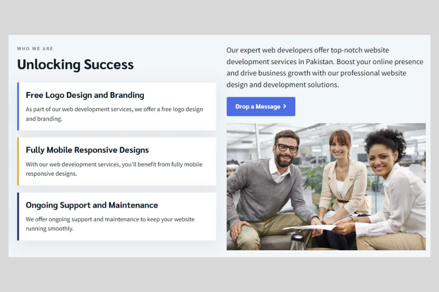 Evonicsoft — Landing Page Copywriting screenshot 2