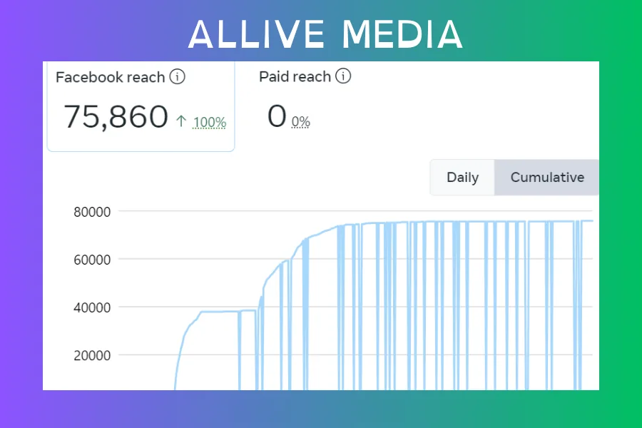 ALLIVE Media โ Social Media Management case study