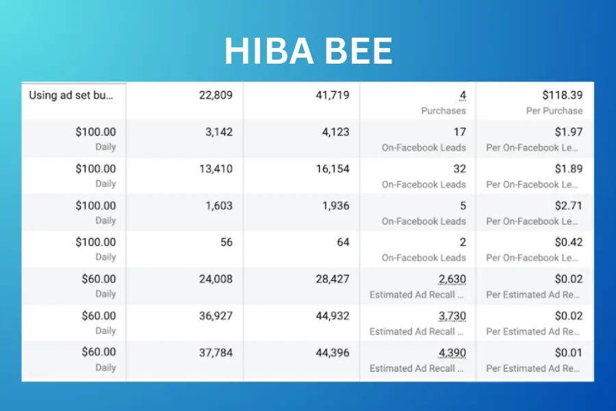 Hiba Bee — Facebook Ads case study